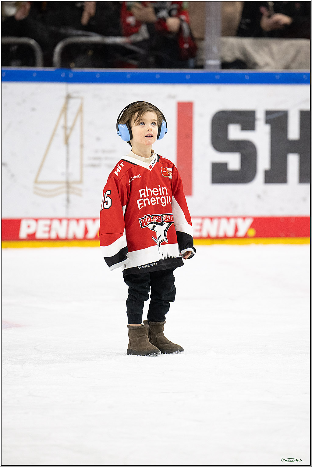 PENNY DEL; Koelner Haie-Duesseldorfer EG ; Koeln, 16.02.2025